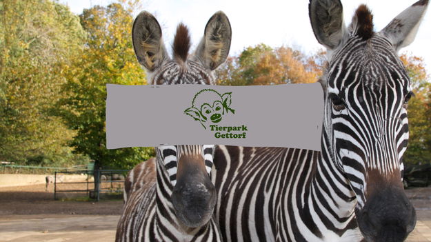 Tierpark Gettorf | R.SH